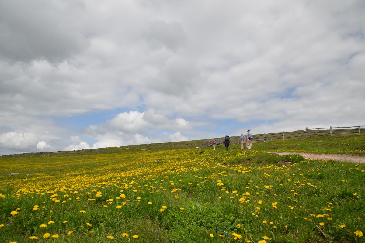 Rittner Horn 09.06.2018